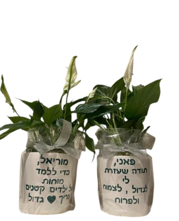 עציץ עם הקדשה אישית